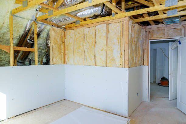 Best Local Insulation Services  in Boyd, TX