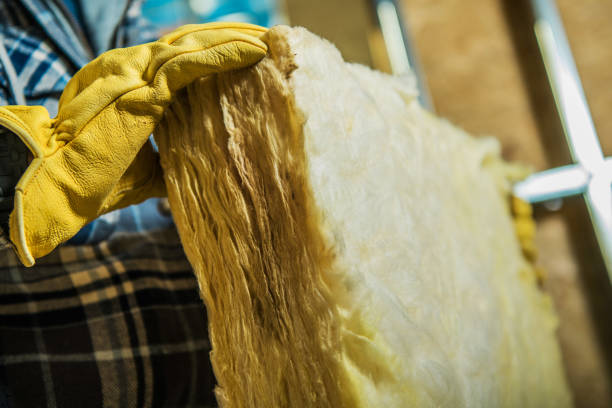 Best Best Insulation Companies  in Boyd, TX