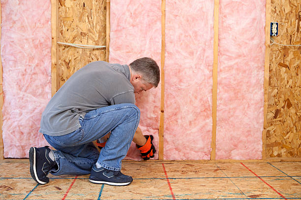 Best Energy-efficient Insulation  in Boyd, TX