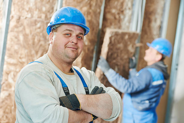 Best Insulation Removal  in Boyd, TX